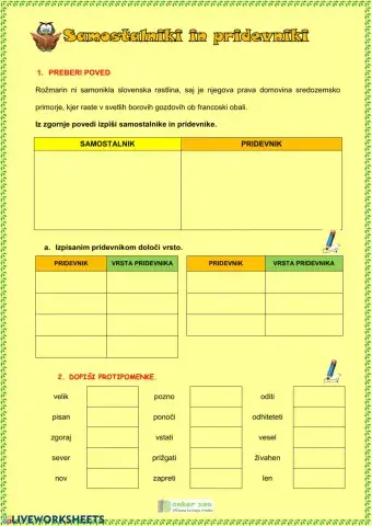 Samostalniki in pridevniki