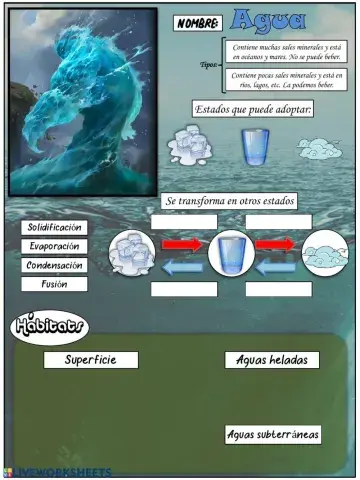 El agua en la Tierra