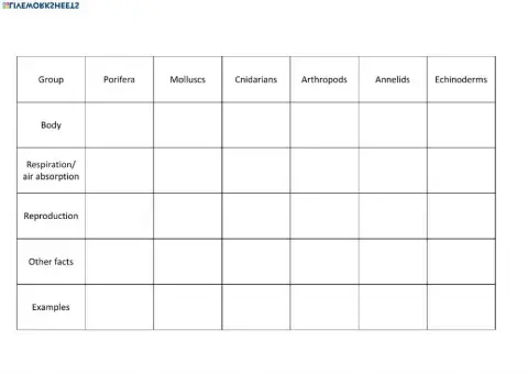 Invertebrate kingdom, characteristics