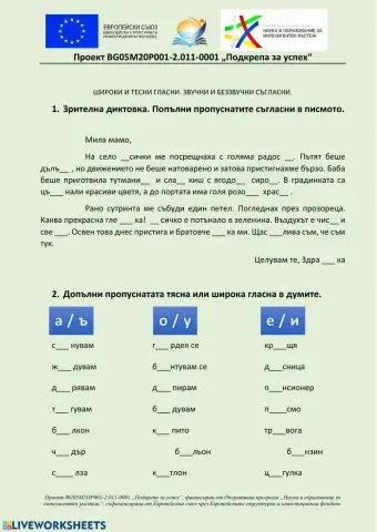 Правопис на гласни и съгласни