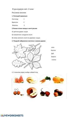 Рослини восени