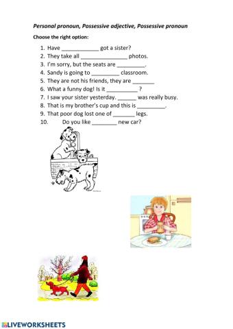 Pronouns and adjectives