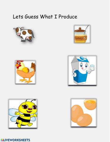 What Animals produce