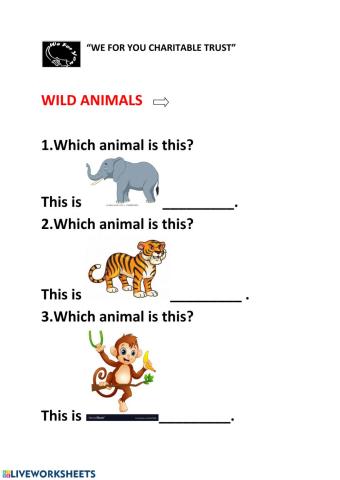 Wild Animals