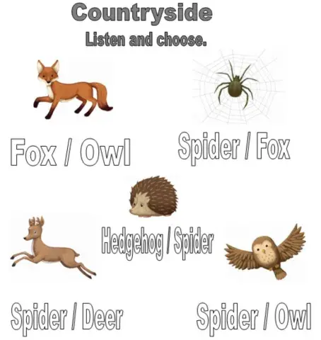 Countryside. Listen and choose.