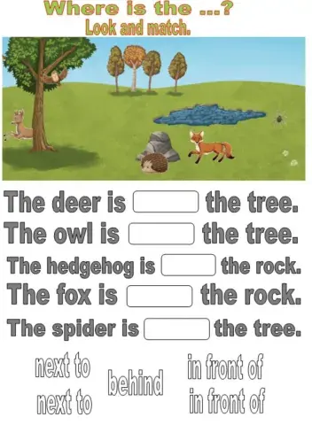 Countryside.Where is the...? Drag and drop