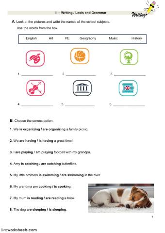 Writing, Lexis and grammar test