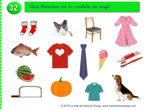 ¿Qué meterías en una maleta?