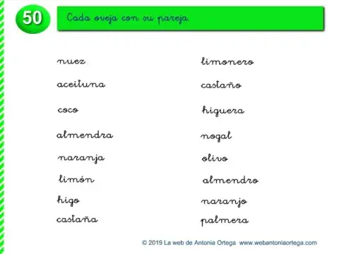 Relaciona cada fruta con su árbol.