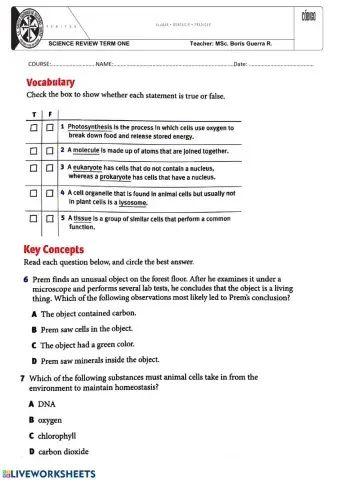 Science review term one