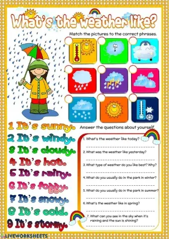 What's the weather like?