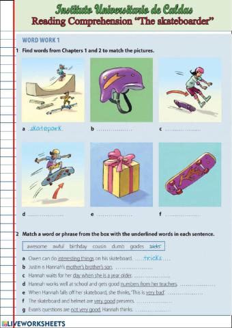 Reading comprehension -The skateboarder-