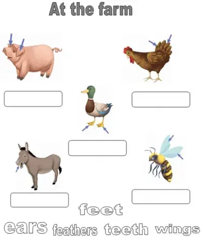 At the farm. Drag and drop.