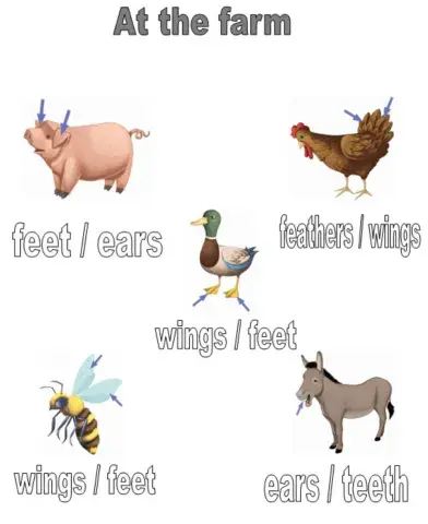 At the farm. Select.