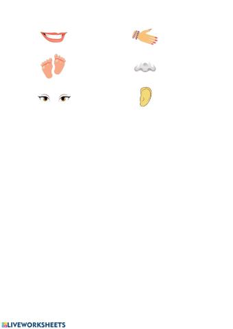 Body Parts