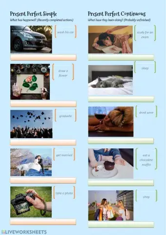 Present Perfect Simple and Continuous