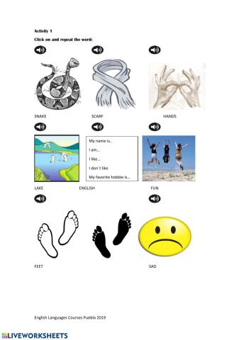 Vocabulary Activity3