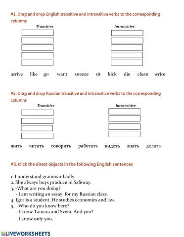Unit 1, Lesson 7- Accusative Case- Preliminary Comprehension
