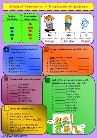 Subject Pronouns – Possessive Adjectives
