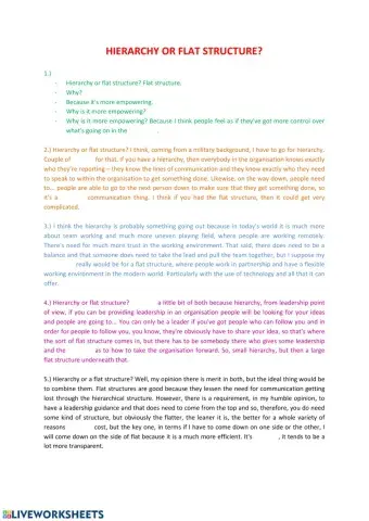 Hierarchy or Flat Structure - Video Transcript