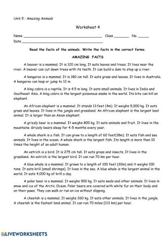 Amazing Facts of Animals