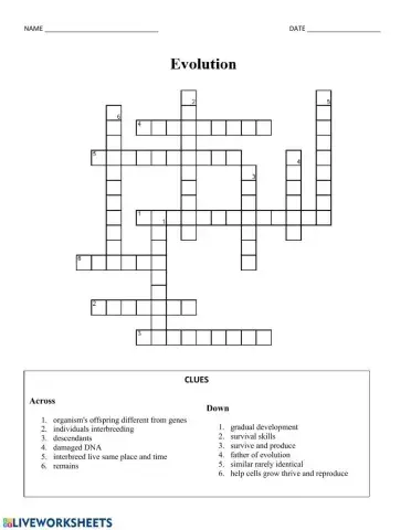Evolution Vocabulary Crossword