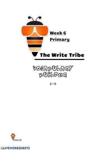 Week 6 Vocabulary Builder