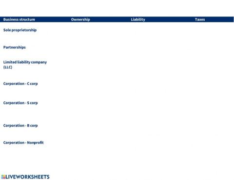 Business Entities Corporate Governance