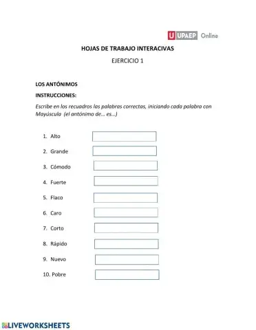 Ejercicio 1 Antónimos y Sinónimos