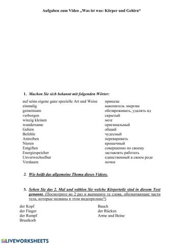 Videoaufgaben: Körper und Gehirn