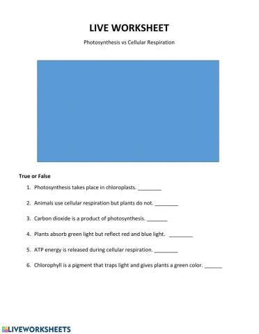 Live Work Sheet: Photosynthesis vs Cellular Respiration