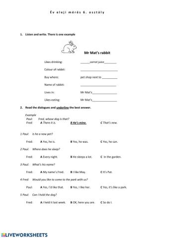 Bemenő mérés 6. osztály