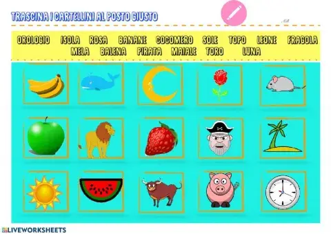 Trascina i cartellini con i nomi delle immagini al posto giusto