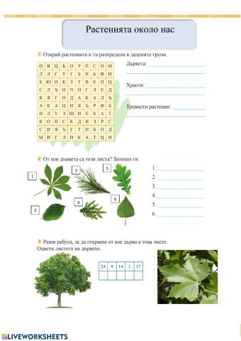 Растенията около нас