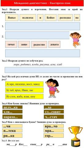 Междинна диагностика