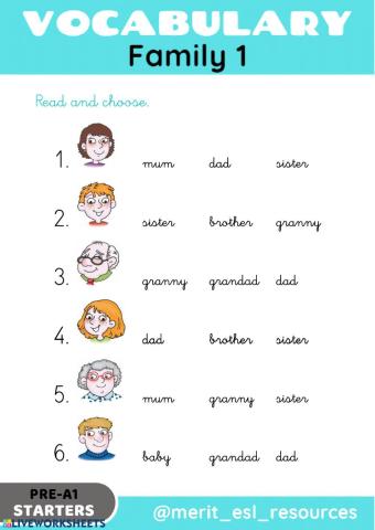 Family - Read and choose