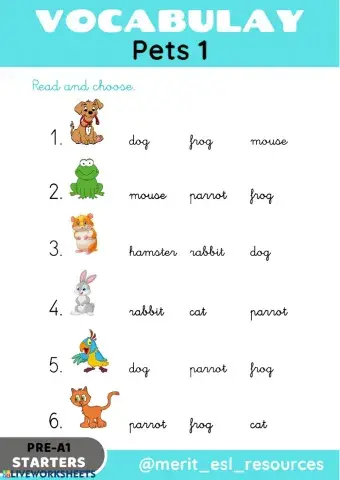 Pets - Read and choose