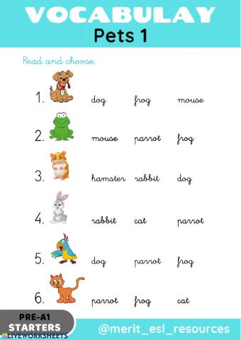 Pets - Read and choose