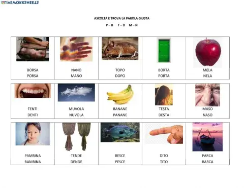 Choose the right word P-B  T-D M-N