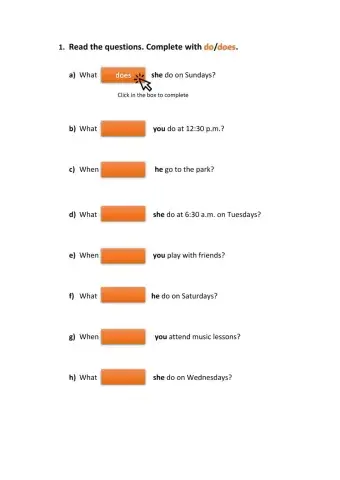 Wh- Questions (What and When)