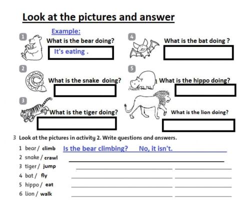 Singular- Yes -no questions