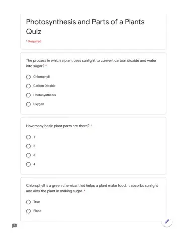 Photosynthesis Quiz