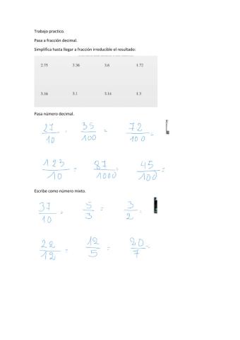 Trabajo Practico .Fracciones