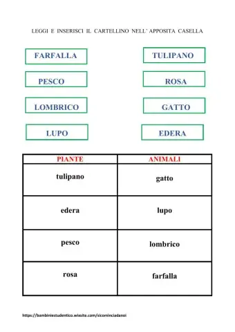 In giardino: gli esseri viventi