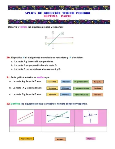 Ficha de clases de rectas