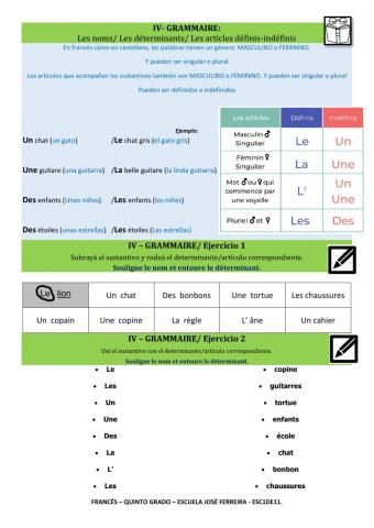 Les déterminants- Les articles
