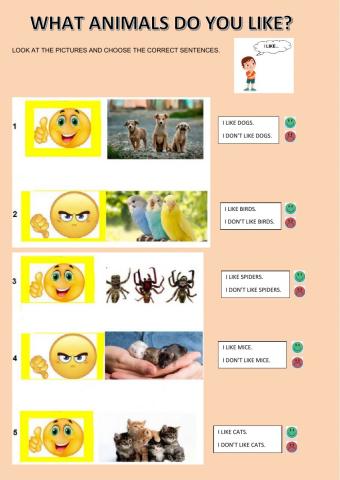 What animals do you like?