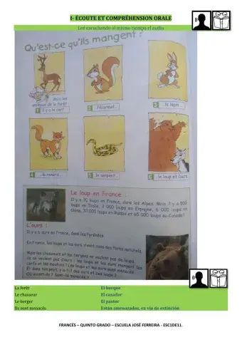 Compréhension orale- écrite