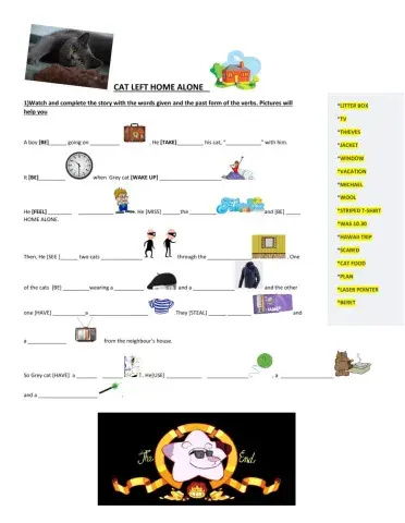 Past simple with video