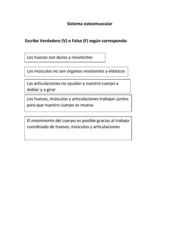 Sistema osteomuscular